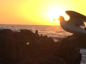 IMG_5801
